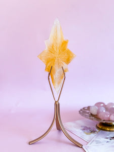 Golden Healer Star on Golden Stand 002