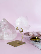 Rose Quartz Fluttering Butterfly on Gold Stand