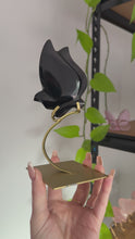 Load and play video in Gallery viewer, Black Obsidian Fluttering Butterfly on Gold Stand
