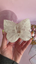 Load and play video in Gallery viewer, Agate Butterfly on Golden Stand 001
