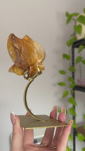 Load and play video in Gallery viewer, Golden Healer Fluttering Butterfly on Gold Stand 002
