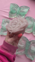 Load and play video in Gallery viewer, Rose Quartz Rose on Golden Stand
